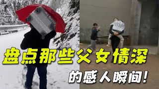 盘点父女情深的感人瞬间，亲情是无法替代的，父爱永远是默默的