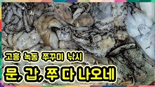 고흥 쭈꾸미 낚시 5편 (녹동 문, 갑, 쭈 다 나옵니다)