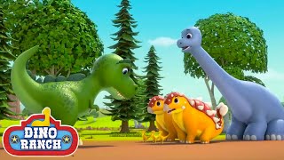 T-Rex Chase! | Dino Ranch