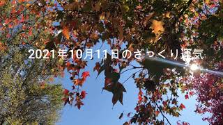 ざっくり運気予報2021年10月11日