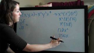 Partial Derivatives (KristaKingMath)