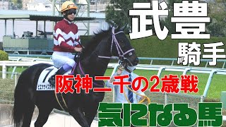 【武豊】ジェンティルドンナの半弟も参戦の阪神芝二千の未勝利戦にルーラーシップ産駒ピエナナイスガイで挑む 阪神2歳未勝利 芝2000m 2022年10月23日