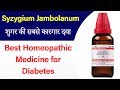 Syzygium Jambolanum Best Medicine for Diabetes | Best Homeopathic Medicine for Diabetes