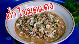 ตำไข่มดแดง(ดิบ) | พญาเย็น พายิ้ม