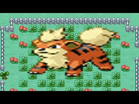 How to find Growlithe in Pokemon Fire Red How to find Growlithe in Pokemon Fire Red