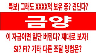 금양 주가/특보) 그래도 XXXX억 보유 중? 견딘다? 이 자금이면 일단 버틴다? 제대로 보자/SI? FI?  다른 조달 방안은? #금양 #금양 주가 #금양 전망 #금양 주식