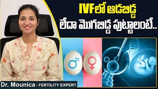 IVFలో ఆడ/మొగబిడ్డ | Is Gender Selection Possible in IVF | Best Fertility Center | Dr Maunica Ferty9