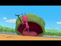 sweet dreams antiks funny kids cartoons crazy ants and insects