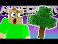 Stranded On A Floating Tree In Minecraft Sky Factory 4!