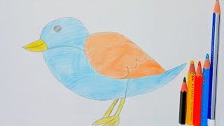 Bird drawing for beginners Step By Step||How to draw bird easy||bird drawing and colour