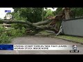 Strong storm topples tree that leaves woman stuck inside her home