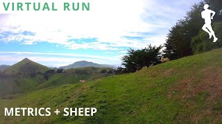 Virtual Treadmill Scenery | POV Running Video | 45 Minutes 4K 60 | Hill Climb Metrics Overlay