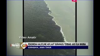 Inilah Penampakan Fenomena Halocline, Air Laut Suramadu Terbagi Menjadi Dua Warna - LIP 21/03