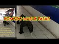 Viral di Tiktok Seekor Komodo Masuk ke Pasar, Warga Panik Saat Komodo Jalan ke Los Pakaian