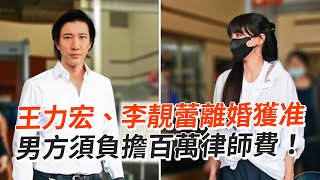 王力宏、李靚蕾離婚獲准　男方須負擔百萬律師費！