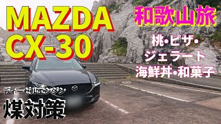 【MAZDA CX30｜和歌山ドライブ】犬連れ和歌山旅/旬の桃/あら川の桃/ピザ/野菜ジェラート/海鮮丼/老舗和菓子店/グルメツアー/日帰り旅/ディーゼルエンジン煤対策 #cx30