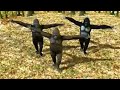 Ego-Crazy Things We do #3monkeys #Monkey Dance