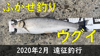 2021年2月 遠征釣行(ウグイ)