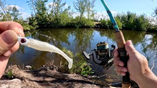 PGI \u0026 Cape Coral Canal Fishing