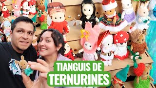 Ternurines Market in CDMX #mexico #toys