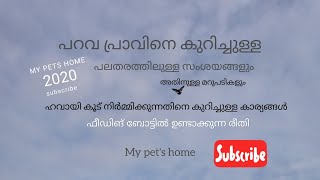 🕊️🕊️🕊️പറവ കുറിച്ചുള്ള അറിയേണ്ട കാര്യങ്ങൾ? 🕊️🕊️🕊️