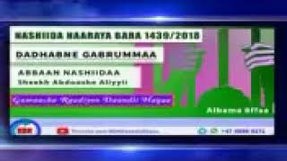 SHEK ABDOOSH ALIYYII QEERROOBILISUMAA