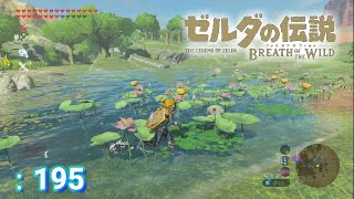 ゼルダの伝説 冒険記＃195 ルチル湖周辺の探索～コログがいっぱいでした【ゼルダの伝説 ブレスオブザワイルド】