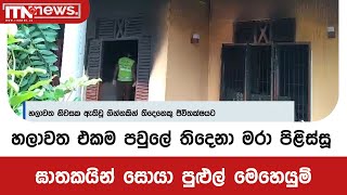 හලාවත එකම පවුලේ තිදෙනා මරා පිළිස්සූ ඝාතකයින් සොයා පුළුල් මෙහෙයුම්