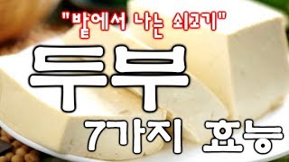 밭에서 나는 쇠고기 '두부' 7가지 효능