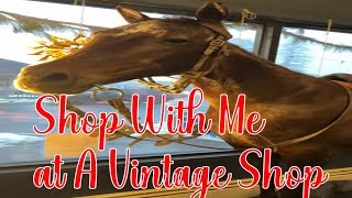 Upscale Vintage Store in New York with a Full Size Real HORSE in the WINDOW