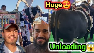 Rambo ki unloading😱| Mustafa hanif se mulaqat😍