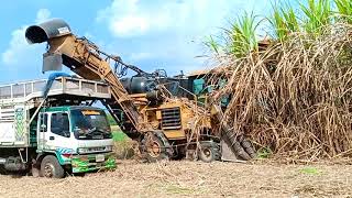 รถตัดอ้อยสด!! Sugar Cane Harvester