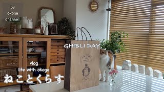 A day in the life of Gibli/Friday Road Show and Ghibli Exhibition in Kyoto/Kid's lunch plate at home