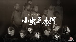 国家相册 第三季 第13集：《小虫无奈何》