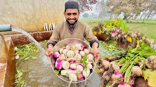 Sab Ki Pasnad Shalgam Bi Tayar  Ho Gi Alhumdullillah