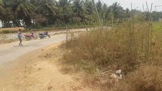 3 acre 16 gunta damber touch property acre 22 lac                               phone 9060111107