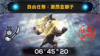 【MHWI】MR★6 激昂金獅子  激昂したラージャン Furious Rajang (自由任務) 操虫棍 Insect Glaive solo 06'45\