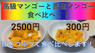 【絶品】高級マンゴーとふつうマンゴー食べ比べ！