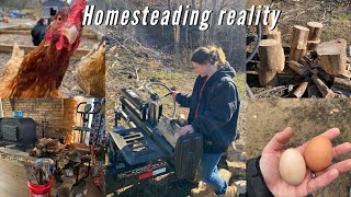 Homesteading during a winter storm | harvesting firewood, wood stove, off grid, the reality