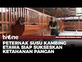 Susu Kambing Etawa Siap Menasional | AKIS tvOne