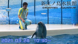 ◆えのすい　きずな（2021．03．28）10：30~ ◆【新江ノ島水族館】【4K60P】