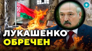 Это только начало: в чём Польша обвинила диктатора? / Новая атака дронов // Новости Беларуси