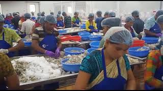 munangi company sea food 2022