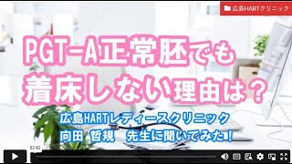 【妊活相談】PGT-A正常胚でも着床しない理由は?ー広島HARTクリニック　向田先生【ジネコ_妊活応援since2000】#妊活 #不妊 #不妊治療