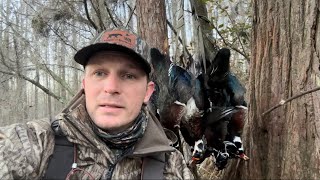 On the X! Timber Swamp Smackdown .. South Georgia Wood Duck Hunt