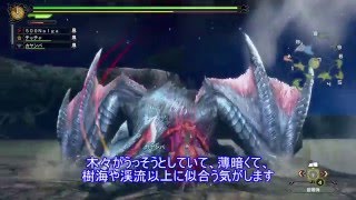 【MH3G】双剣縛りでゆっくり実況上位編第１３話