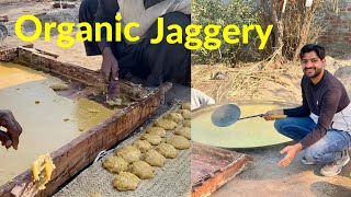 The Sweet Science: How Organic Jaggery is Made