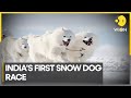 India's first snow dog race | A marathon at 11,000 ft in the Himalayas