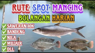 RUTE SPOT MANCING BOLANGAN HARIAN 10K Bandeng, Nila, Mujair, Dll