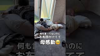 双子兄が寝てる隙に弟がとった行動が、、